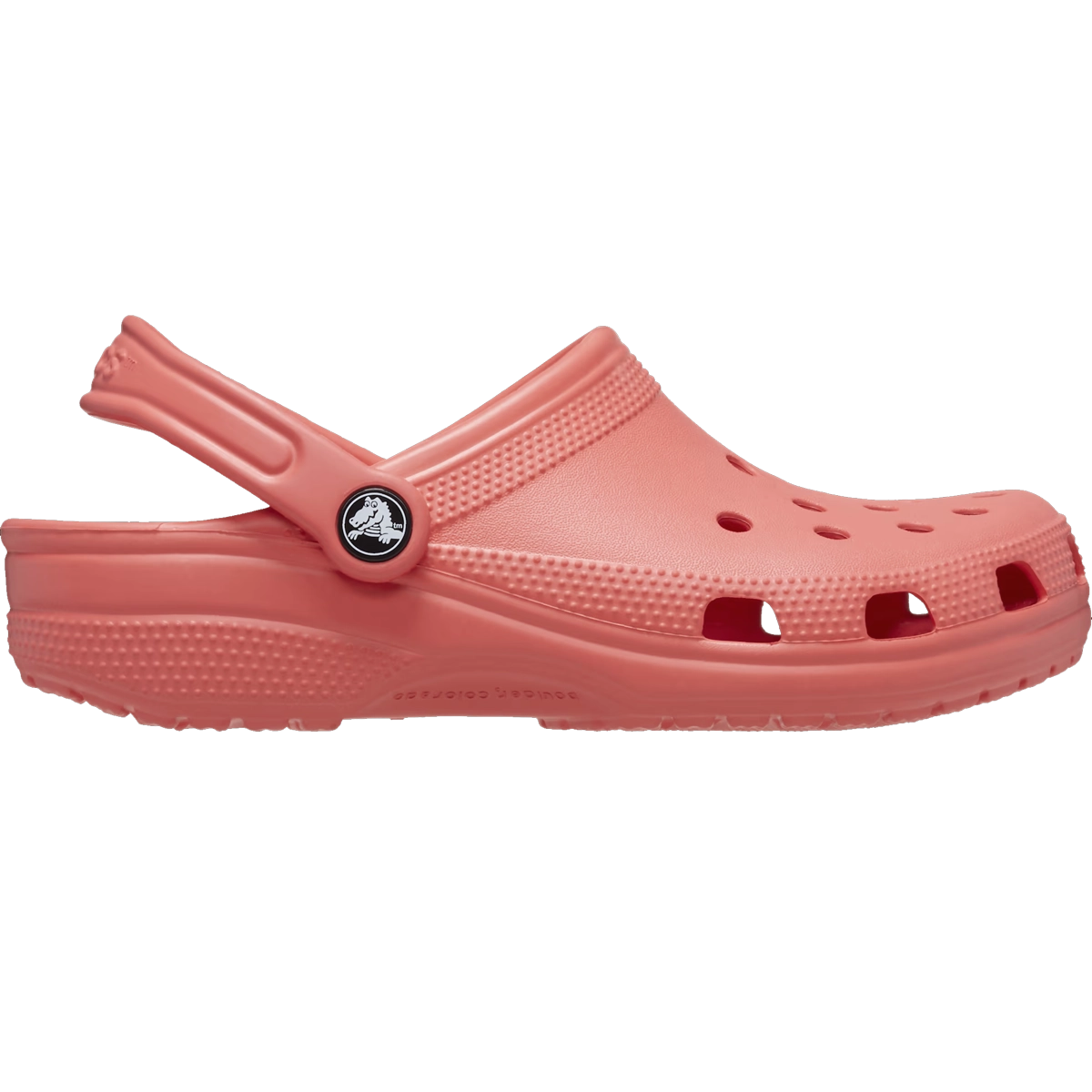Classic Clog