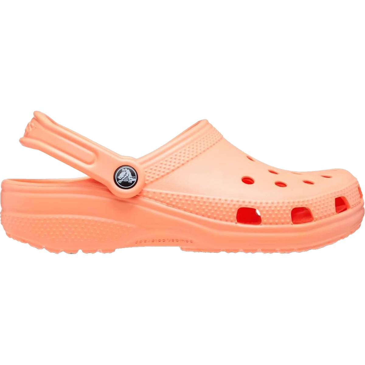 Classic Clog