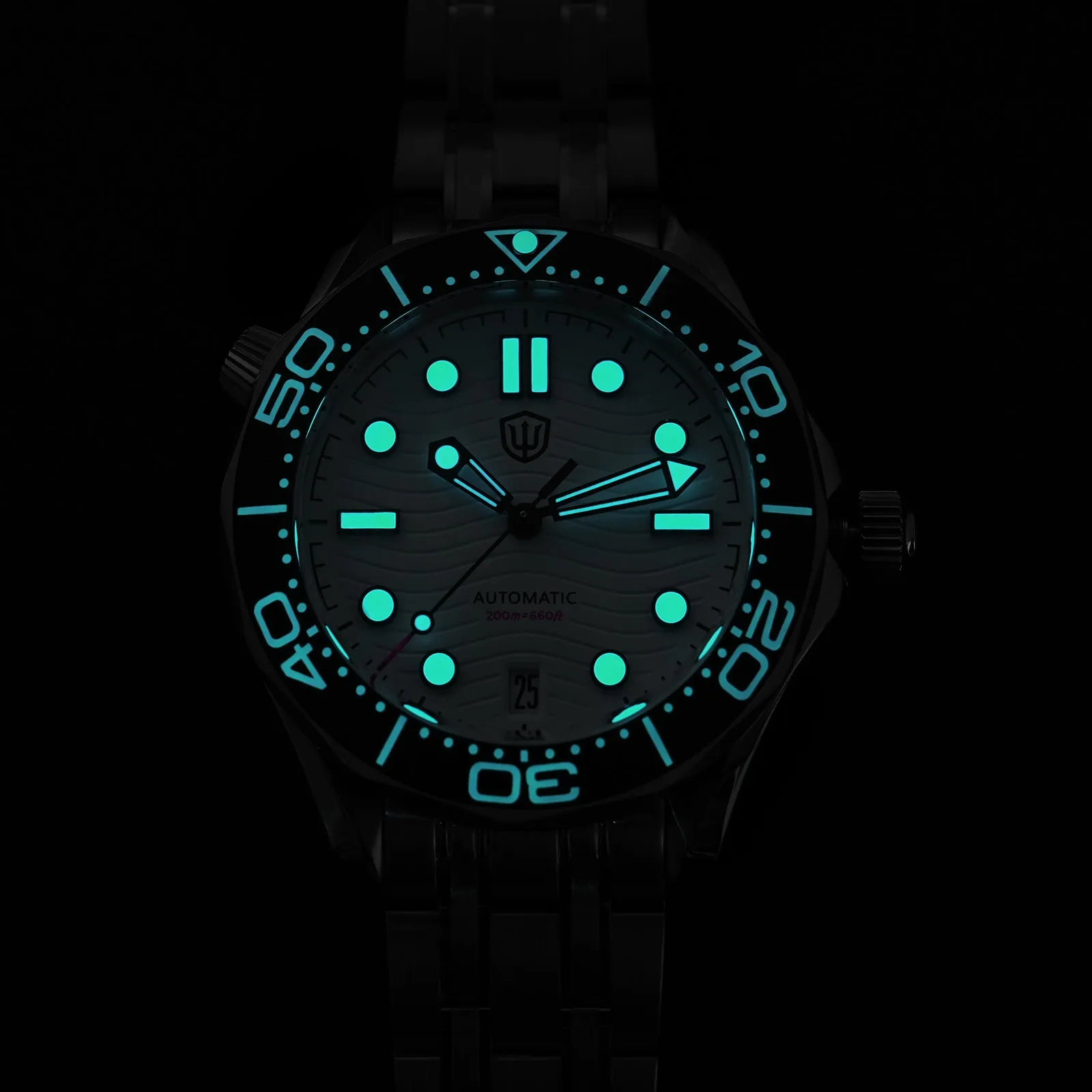 ★EU-Pre-Owned★Watchdives WD007ST 39mm NTTD Dive Watch