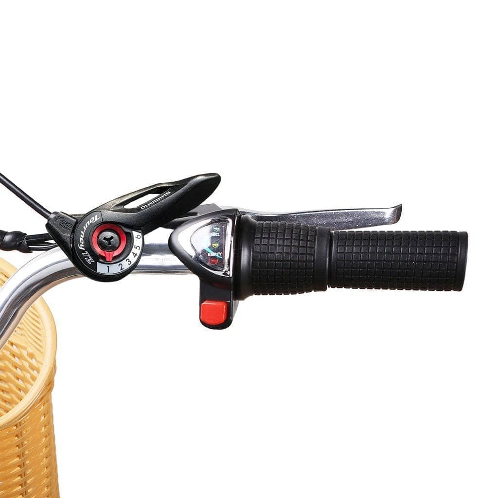 Nakto Camel Men's Electric Bike [250W   350W]