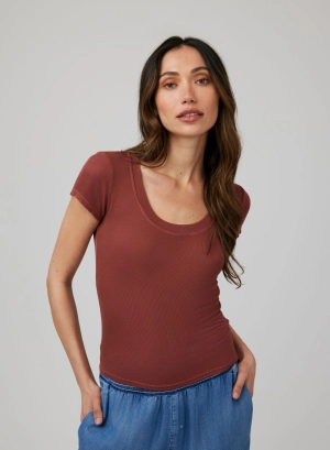 Wide Scoop Neck Tee - Beachwood