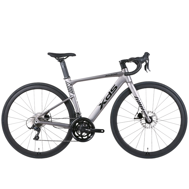 XDS AD300  18sp //  Road Bike
