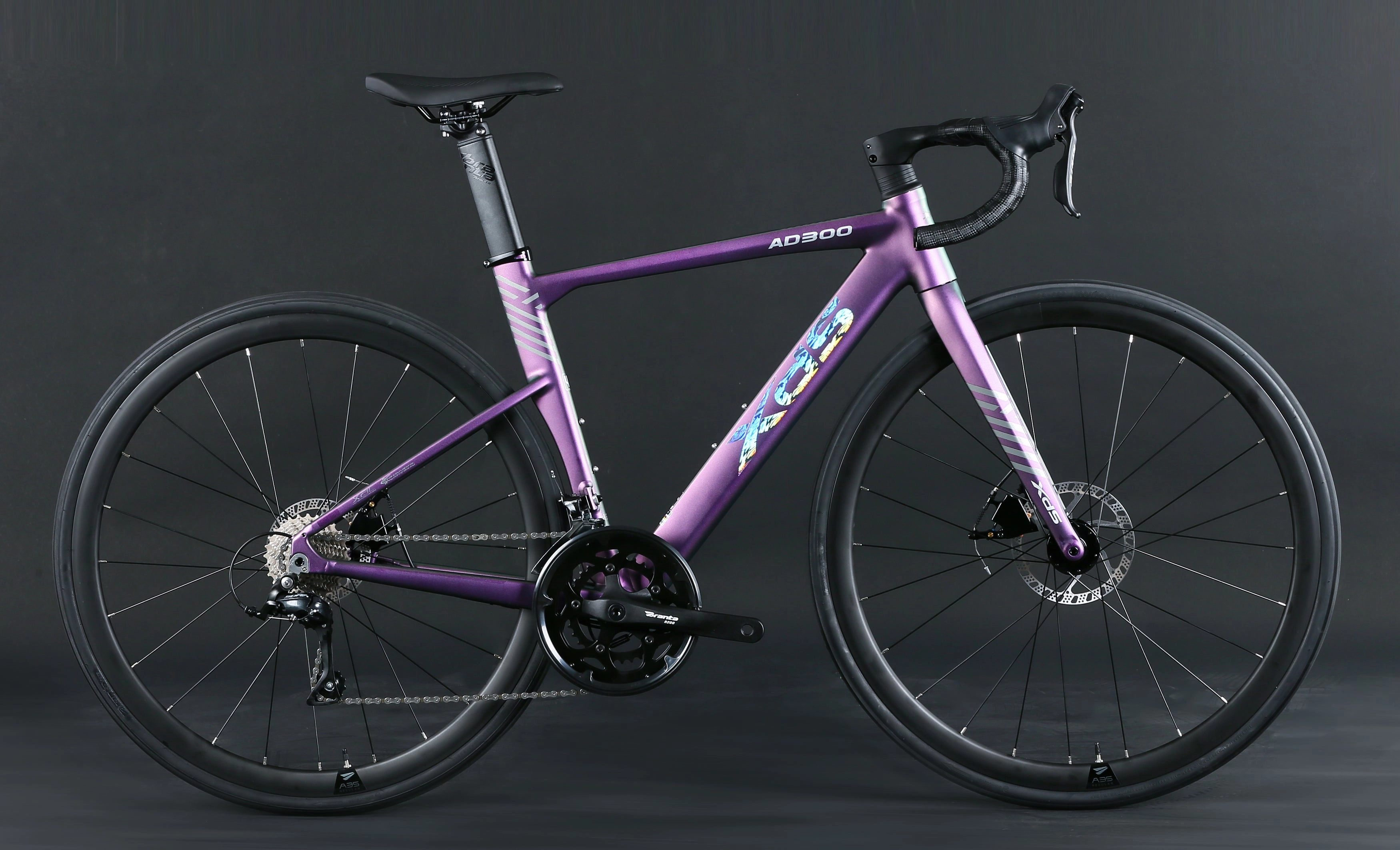XDS AD300  18sp //  Road Bike