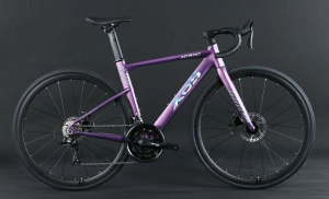 XDS AD300  18sp //  Road Bike